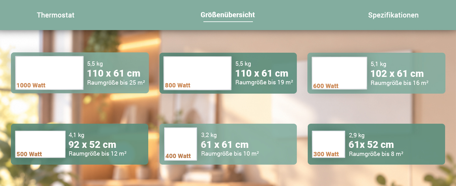 Gr&ouml;&szlig;en&uuml;bersicht der Heidenfeld Infrarotheizungen mit sechs Leistungsstufen von 300 bis 1000 Watt, verschiedenen Abmessungen und Raumgr&ouml;&szlig;en bis 25 m&sup2;.